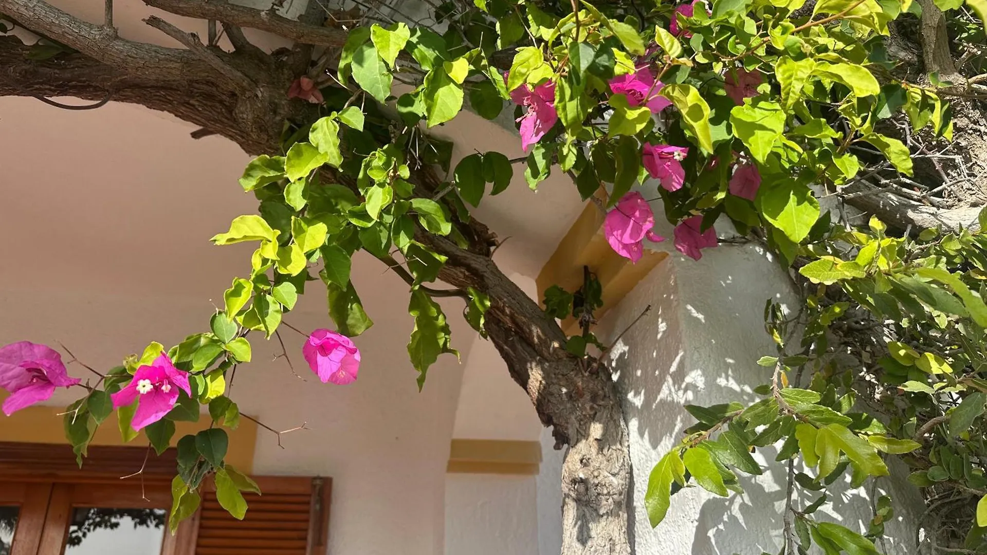 Bed and breakfast Casa Hermosa Mijas